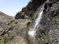  Le Vieux Chaillol alimente toujours les rigoles du canal de Malcros